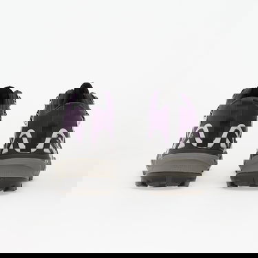 Tenisky a topánky adidas Performance Terrex Skychaser Mid GORE-TEX Hiking Boots Fialová | JQ9928, 4