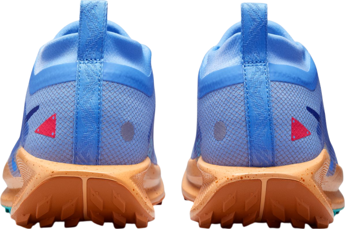 Tenisky a topánky Nike Pegasus Trail 5 GORE-TEX Modrá | fq0912-401, 1