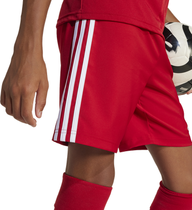 Šortky adidas Originals adidas TASTIGO25 Shorts Červená | jn7172, 6