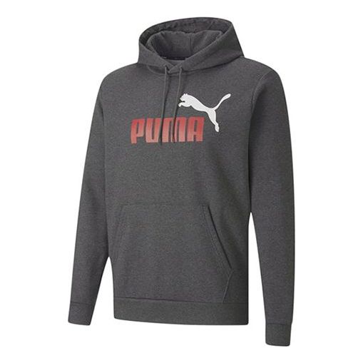Mikina Puma Sportswear Logo Hoodie Šedá | 599051-07