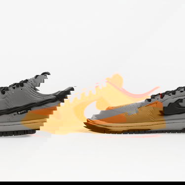 Tenisky a topánky Nike Dunk Low Gtx Hnedá | HQ2053-700, 0