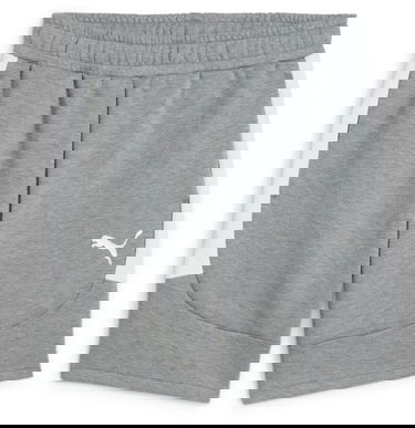 Šortky Puma teamEVOSTRIPE Shorts Šedá | 659951-33, 0