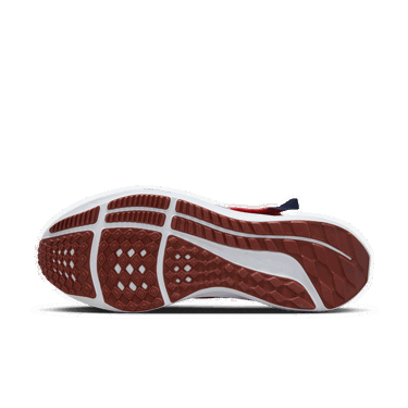 Tenisky a topánky Nike Pegasus FlyEase Červená | DJ7381-601, 3