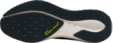 Tenisky a topánky Nike Pegasus 41 GORE-TEX Žltá | fq1357-300, 3