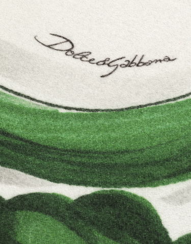 Home decor Dolce & Gabbana Dolce & Gabbana Silk And Wool Floral Scroll Blanket Zelené | TCE012TCAB6UV013, 2