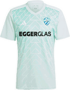 TSV Hartberg 2024/2025 Jersey