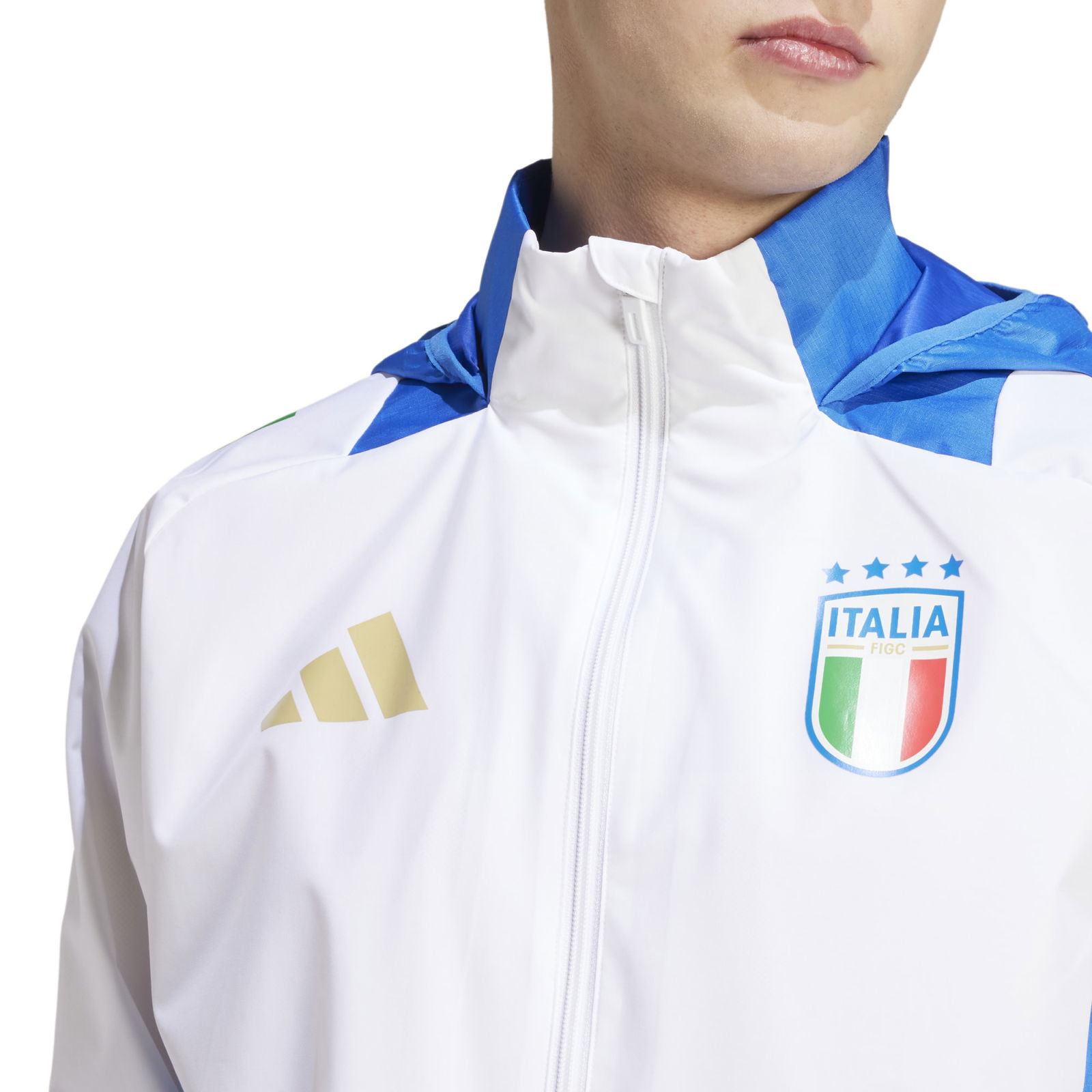 FIGC AW JKT 2024