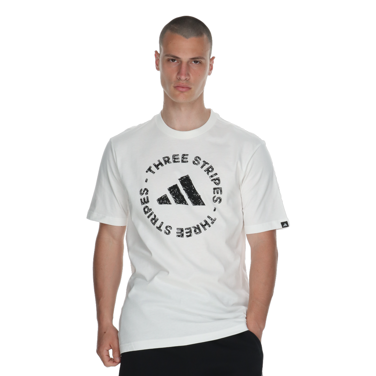 Tričko adidas Originals Sketch Embroidered T-Shirt Biela | JY8043, 0