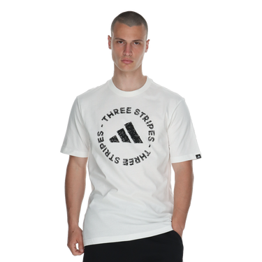Tričko adidas Originals Sketch Embroidered T-Shirt Biela | JY8043, 0