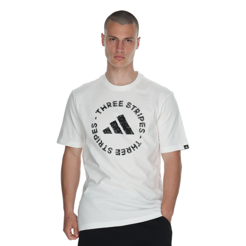 Tričko adidas Originals Sketch Embroidered T-Shirt Biela | JY8043