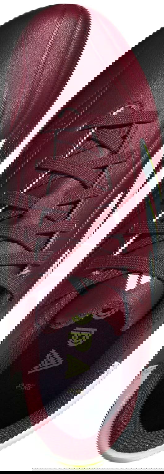 Tenisky a topánky adidas Performance Adidas COPA PURE.2 League FG Vínová | ie7494, 1