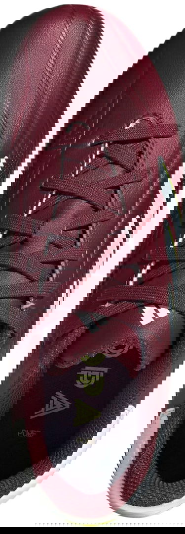 Tenisky a topánky adidas Performance Adidas COPA PURE.2 League FG Vínová | ie7494, 1