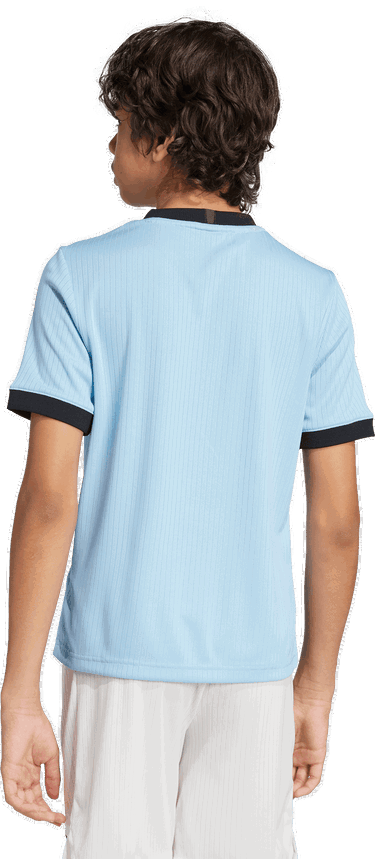 Dres adidas Performance Germany Anniversary Kids' Soccer Jersey Modrá | JY1317, 1