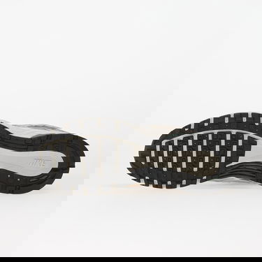 Tenisky a topánky Nike P-6000 Rôznofarebný | CD6404-203, 1