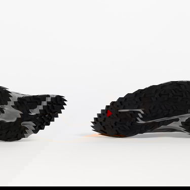 Tenisky a topánky Salomon XT-6 Hnedá | 471365, 4