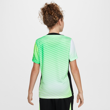 Dres Nike Australia Academy Pro Dri-FIT Pre-Match Soccer Jersey Zelené | FV0093-369, 3