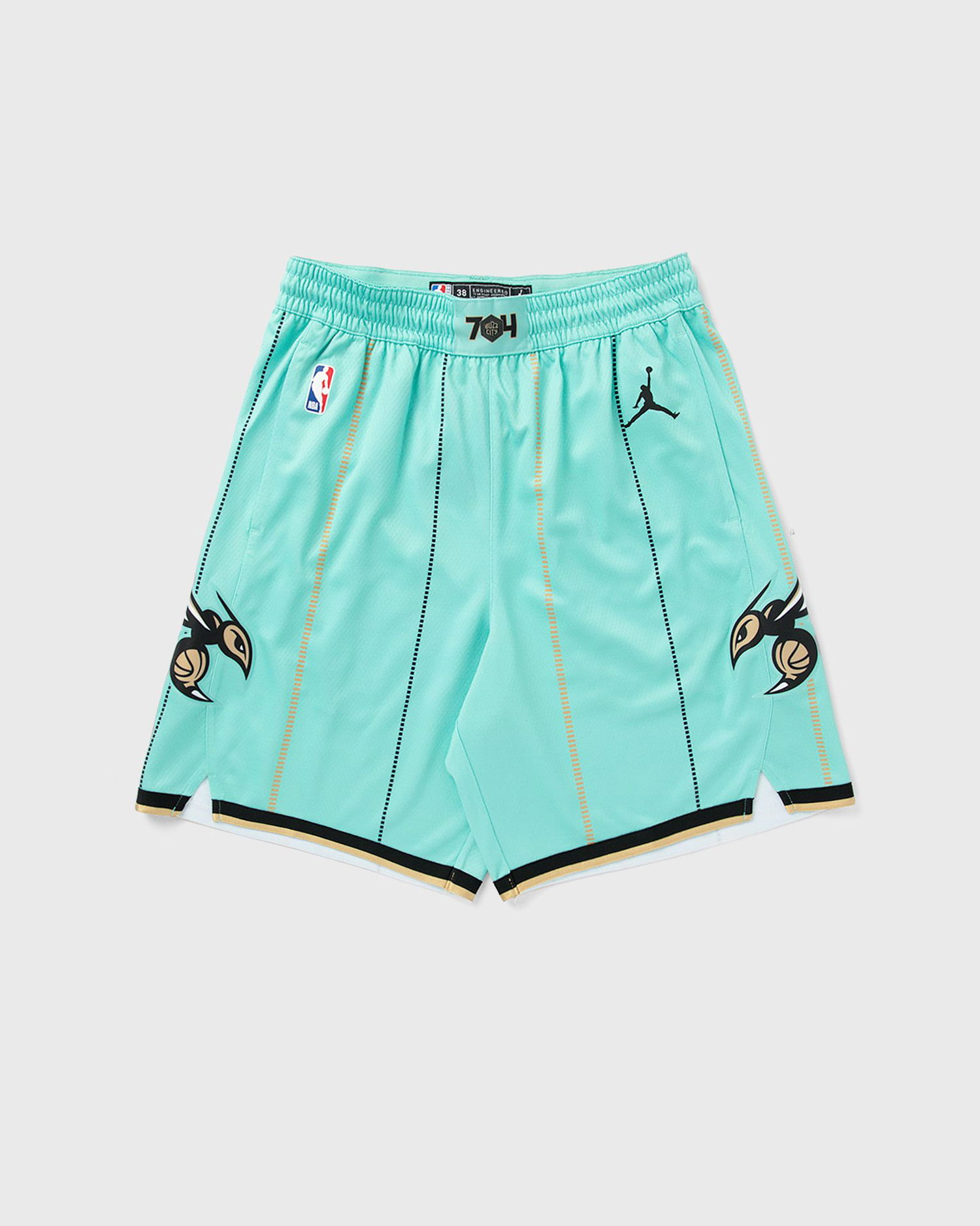 Šortky Nike NBA Charlotte Hornets Swingman Shorts Zelené | FQ4400-356, 0