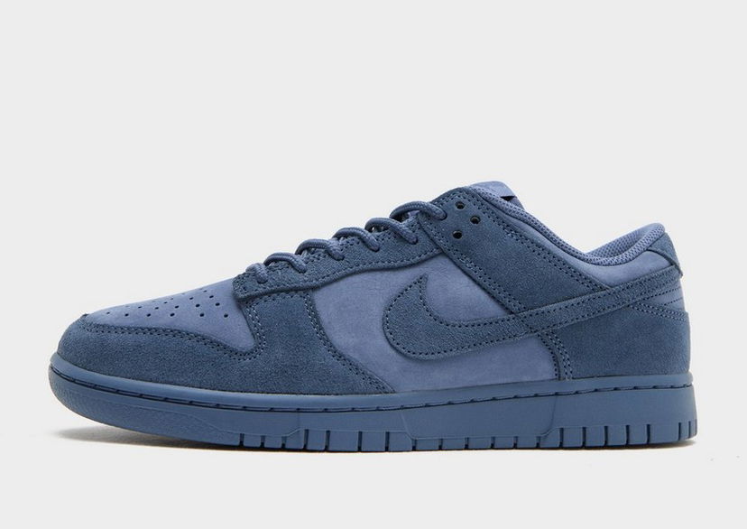 Tenisky a topánky Nike Dunk Low Retro Se Nubuck Modrá | IB6651-400