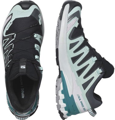 Tenisky a topánky Salomon Xa Pro 3D V9 Gtx W Rôznofarebný | L47119100, 3