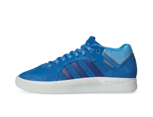 Skateboarding adidas Originals Tyshawn Focus Blue Modrá | H04934