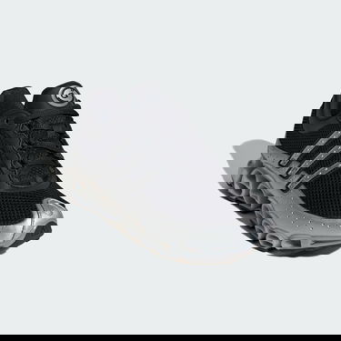 Tenisky a topánky adidas Performance Megaride Čierna | ID6601, 1
