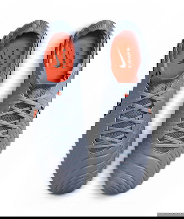 Tenisky a topánky Nike LEGEND 10 ELITE FG Šedá | dv4328-402, 9