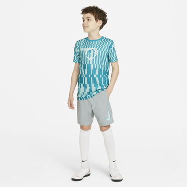 Šortky Nike Dri-FIT Academy Šedá | CV1469-019, 1