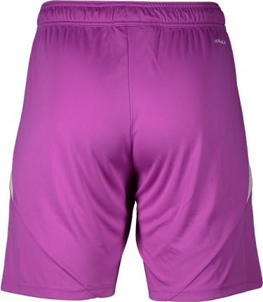 Šortky adidas Originals Hamburger SV Goalkeeper Shorts 2025/26 Fialová | 6hsvji6089, 1