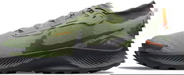 Tenisky a topánky Nike Pegasus Trail 3 GTX Zelené | do6728-300, 0