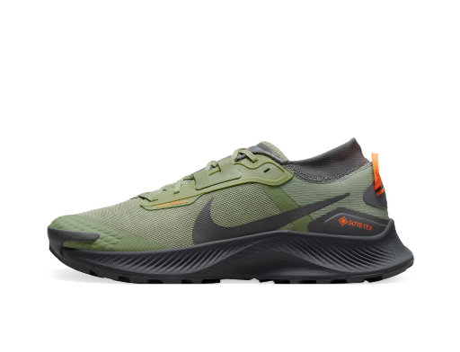 Bežecké topánky Nike Pegasus Trail 3 GTX Zelené | do6728-300