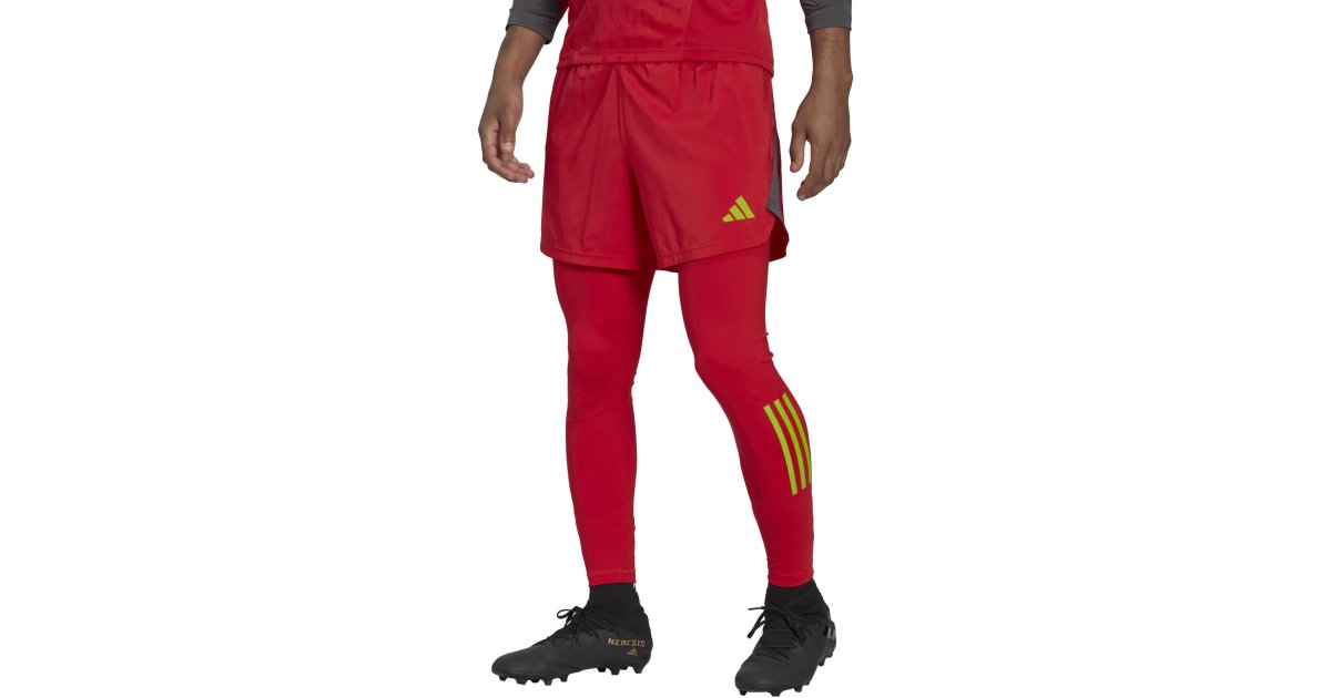 Nohavice a džínsy adidas Originals Tiro 23 Pro Goalie Leggings Červená | ht2420, 1