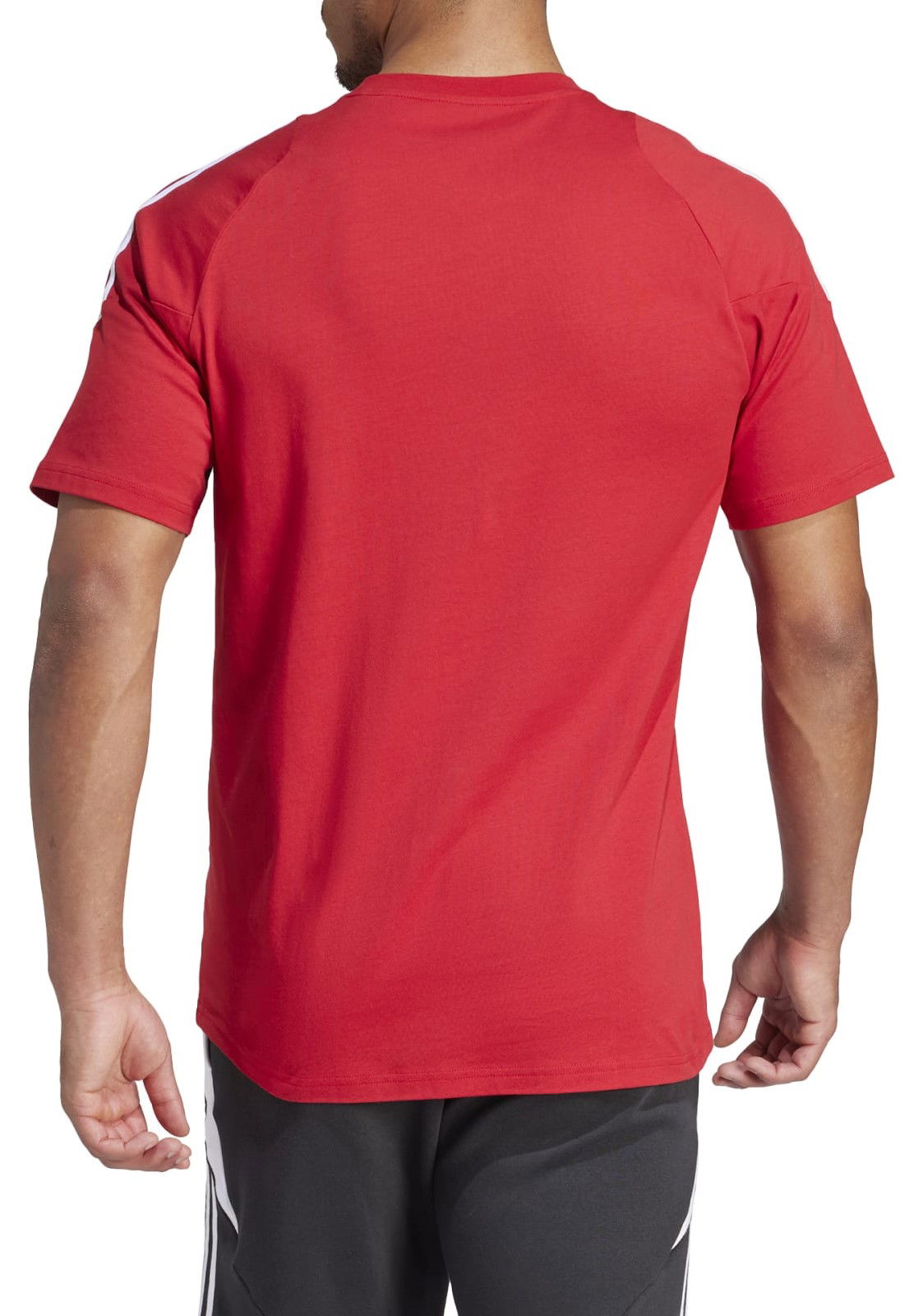 Tričko adidas Originals adidas TIRO24 SWTEE Červená | ir9349, 1