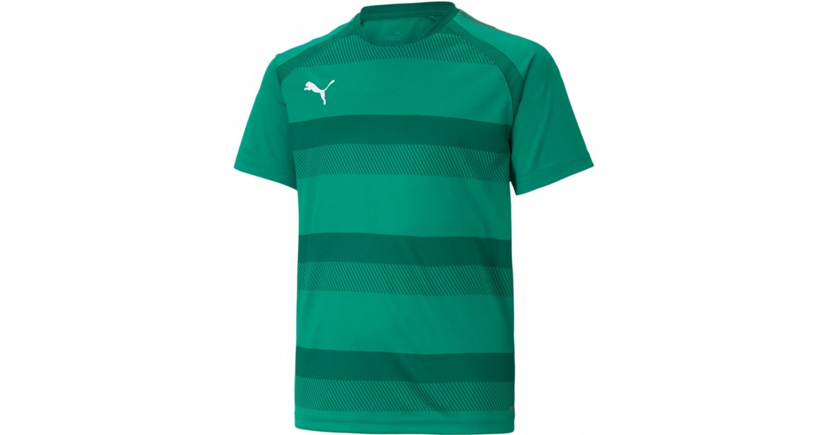 Puma teamVISION Jersey