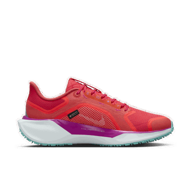 Tenisky a topánky Nike Pegasus 41 GORE-TEX Červená | HM8870-600, 4