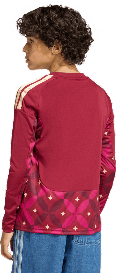 Dres adidas Performance Italy Home Goalkeeper Long Sleeve Top with Graphic Detail Vínová | JY7653, 3