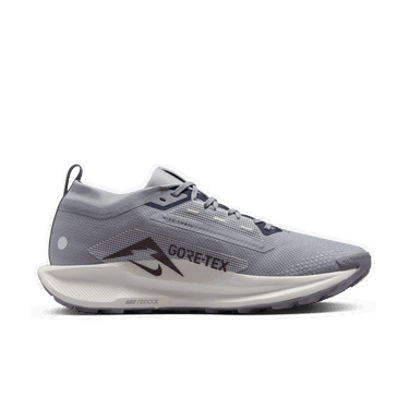 Tenisky a topánky Nike Pegasus Trail 5 GORE-TEX Šedá | FQ0908-006, 4
