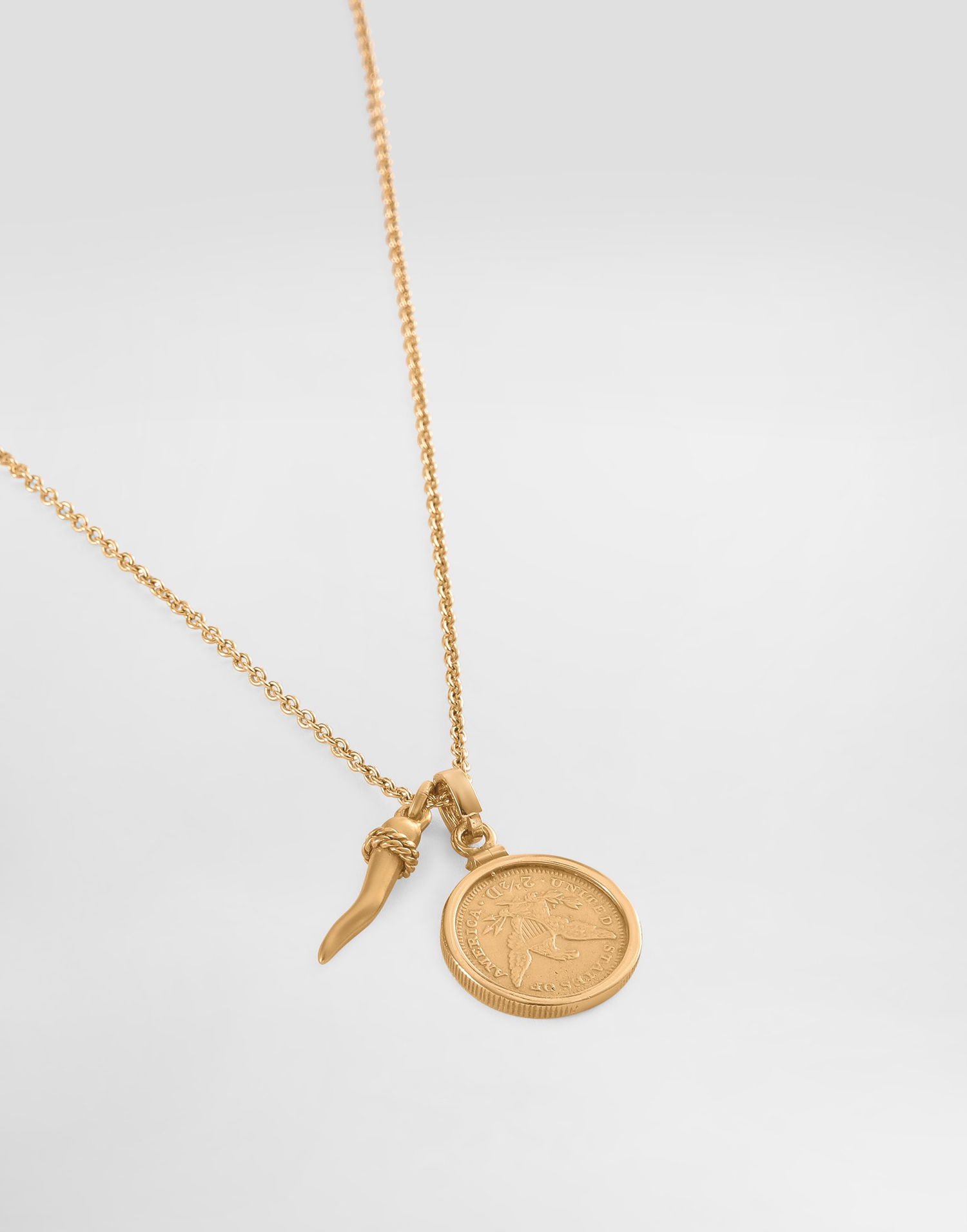 Náhrdelník Dolce & Gabbana Dolce & Gabbana Medal and Horn Pendant Necklace Metalická | WNR8S2W1111ZOO00, 1