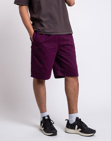 Šortky Stüssy Brushed Beach Short Fialová | 112282, 1