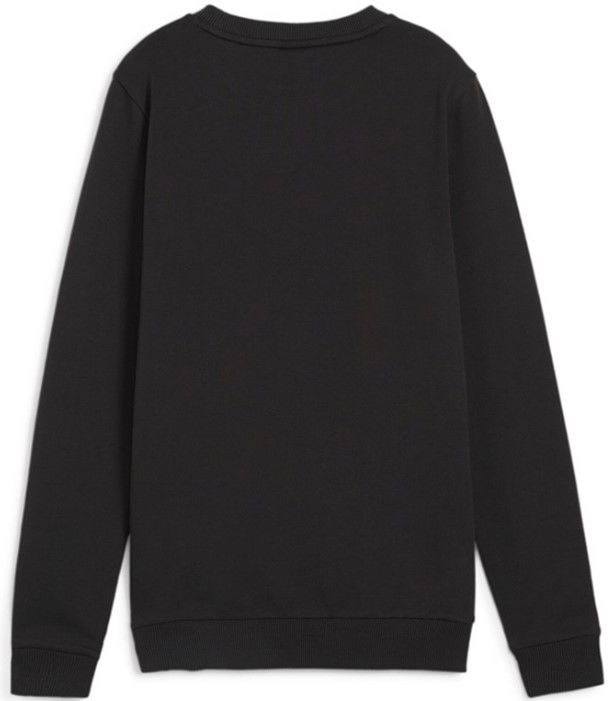 Mikina Puma teamGOAL Casuals Sweatshirt Čierna | 658594-03, 1