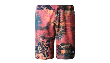 Šortky The North Face M Summer Logo Shorts Rôznofarebný | NF0A8237IOC, 1