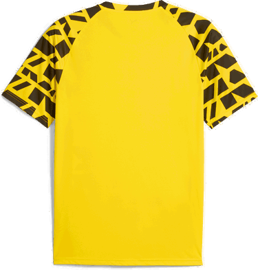 Dres Puma Borussia Dortmund Warm Up Jersey 2025/26 Žltá | 781685-01, 1