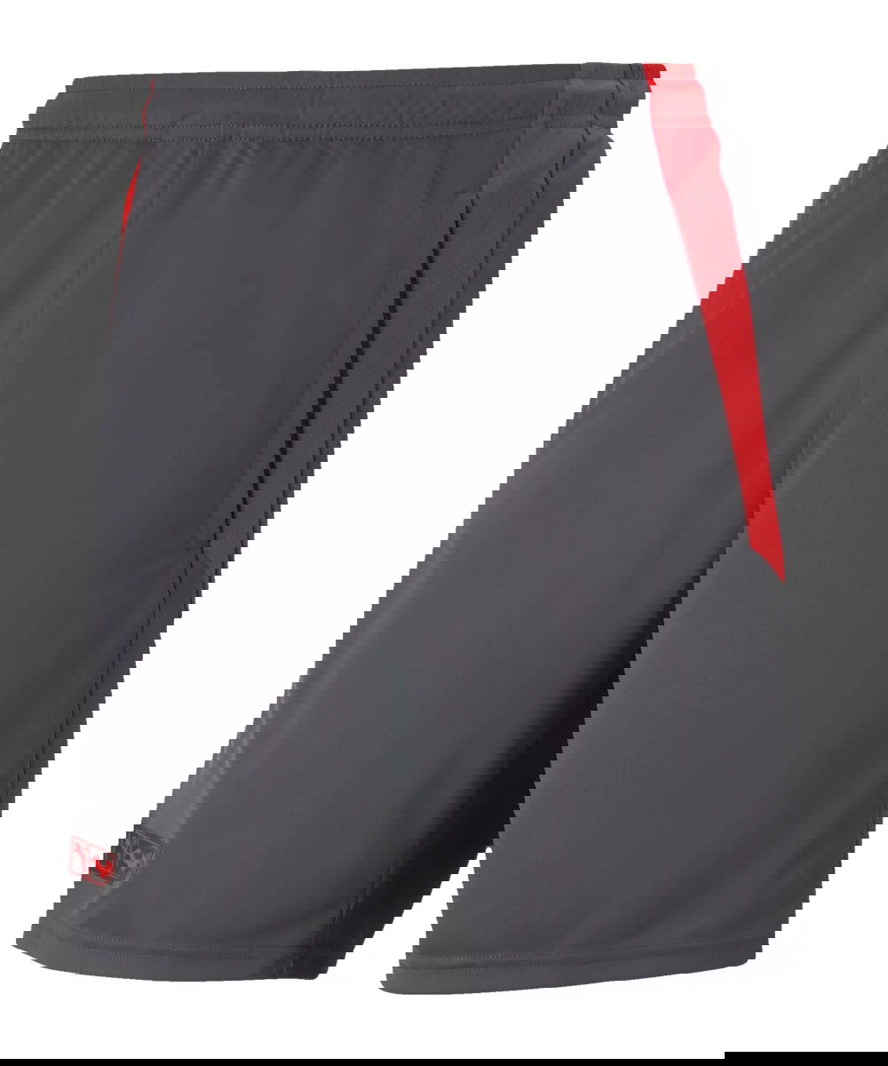 Šortky Puma Batman Athletic Shorts Šedá | 65802604, 0