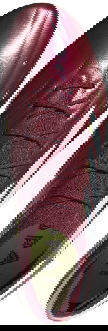 Tenisky a topánky adidas Performance COPA PURE 2 ELITE KT FG Vínová | ie7485, 1