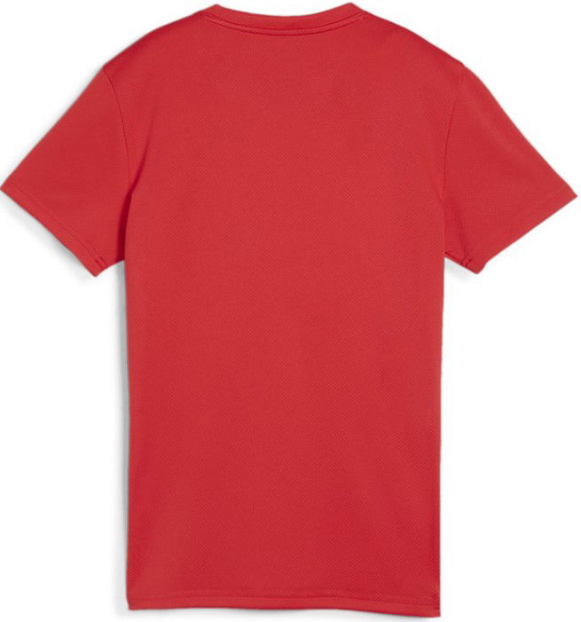 Dres Puma teamGOAL Jersey W Červená | 658638-01, 1