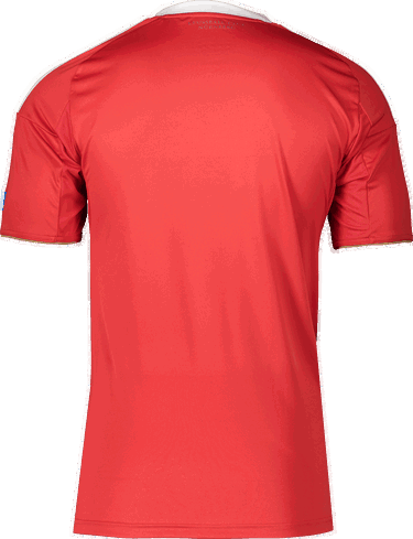 Dres adidas Originals 1. FC Nürnberg 3rd Jersey 2025/26 Červená | 6fcnjd7395, 1