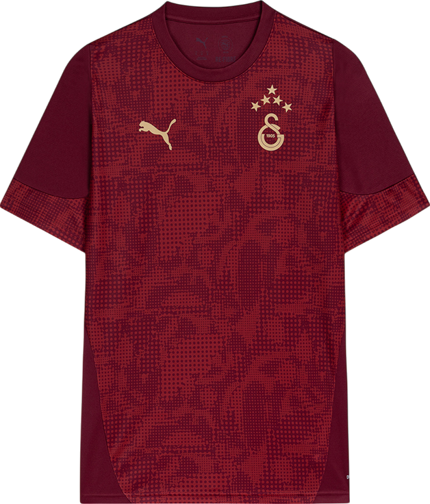 Dres Puma Galatasaray SK 2025/26 Training Jersey Vínová | 782884-03, 0