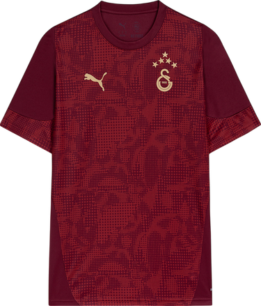 Dres Puma Galatasaray SK 2025/26 Training Jersey Vínová | 782884-03, 0
