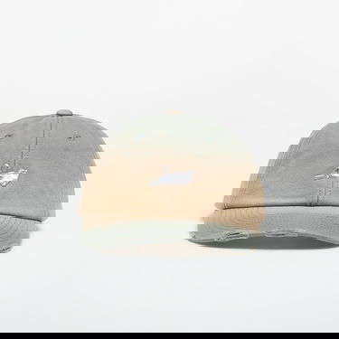 Šiltovka RIPNDIP Castanza Dad Hat with Cat Emblem and Distressed Brim Rôznofarebný | RNDBASICHAT3, 0