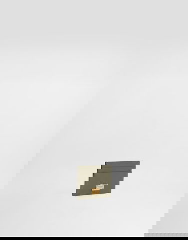 Peňaženka Dolce & Gabbana Plongé Calfskin Card Holder Zelené | BI0330A9S2580560, 1