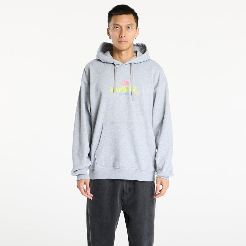 Mikina The North Face Expedition Celebration Oversized Hoodie Šedá | NF0A8E3FDYX1